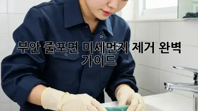 부안 줄포면 미세먼지 제거 완벽 가이드