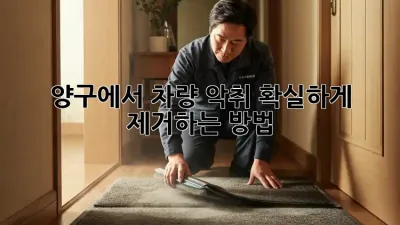 양구에서 차량 악취, 확실하게 제거하는 방법!